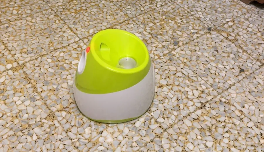 Le lanceur vert citron posé sur des graviers, en extérieur